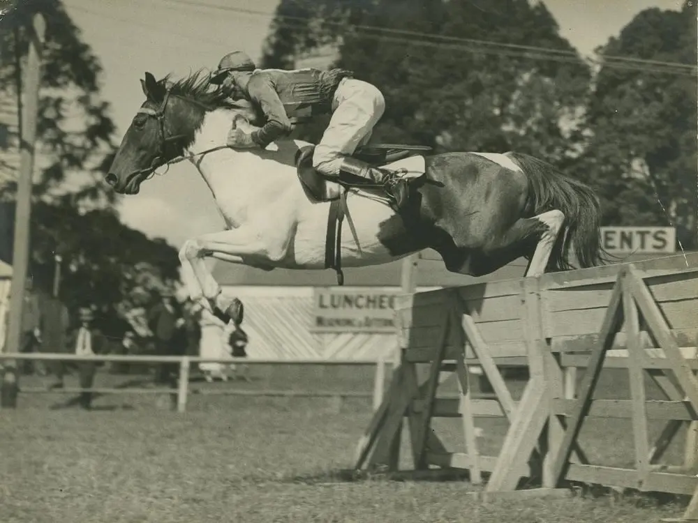 Horse in Australia