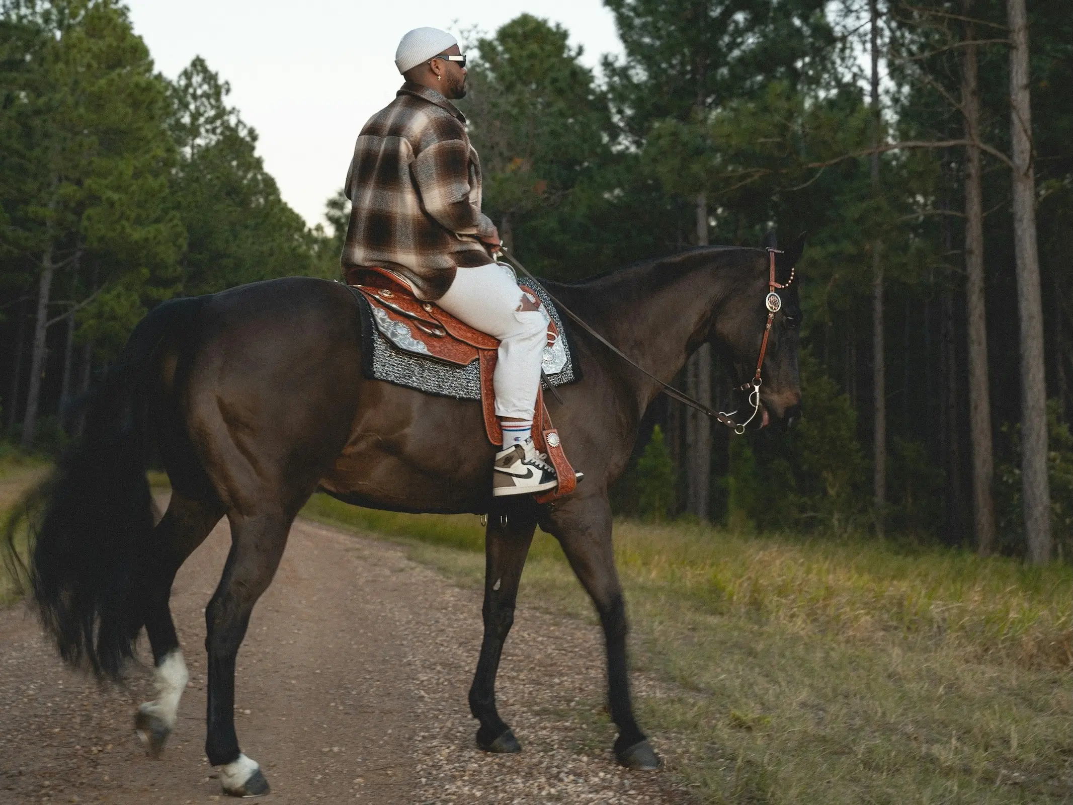 Horse in Australia