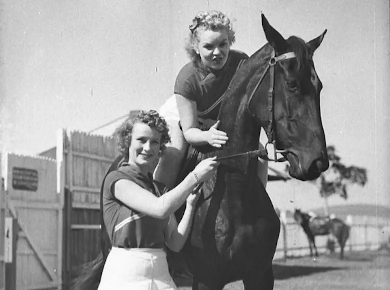 Horse in Australia