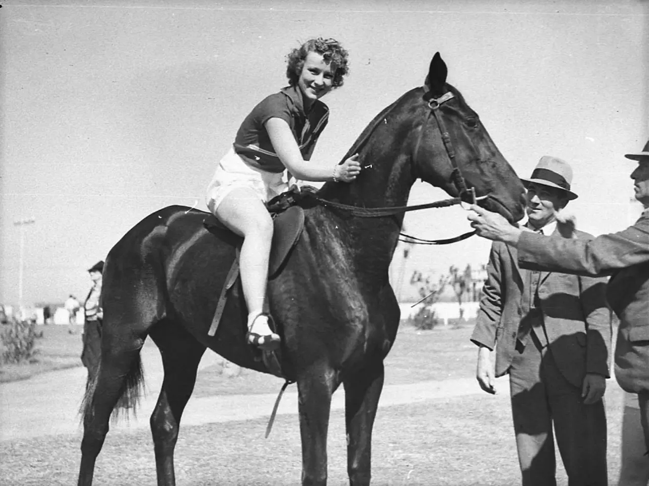 Horse in Australia