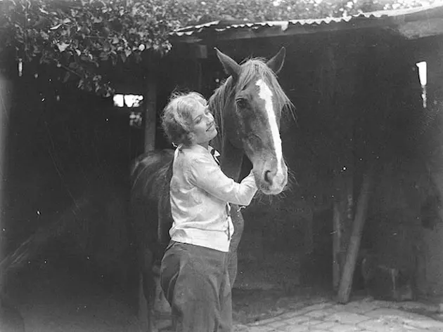 Horse in Australia