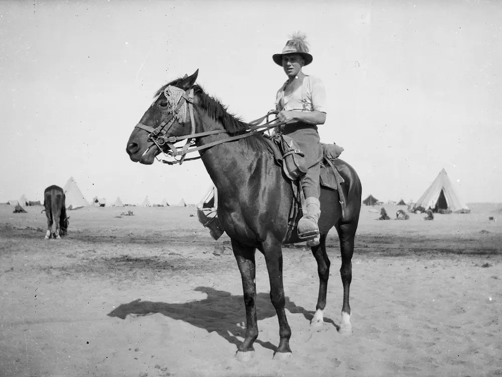 Horse in Australia