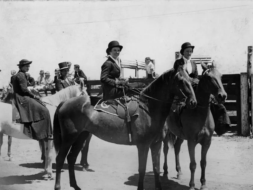 Horse in Australia