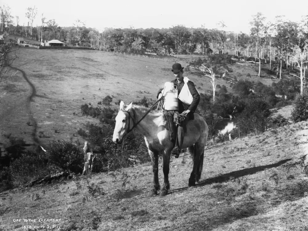 Horse in Australia