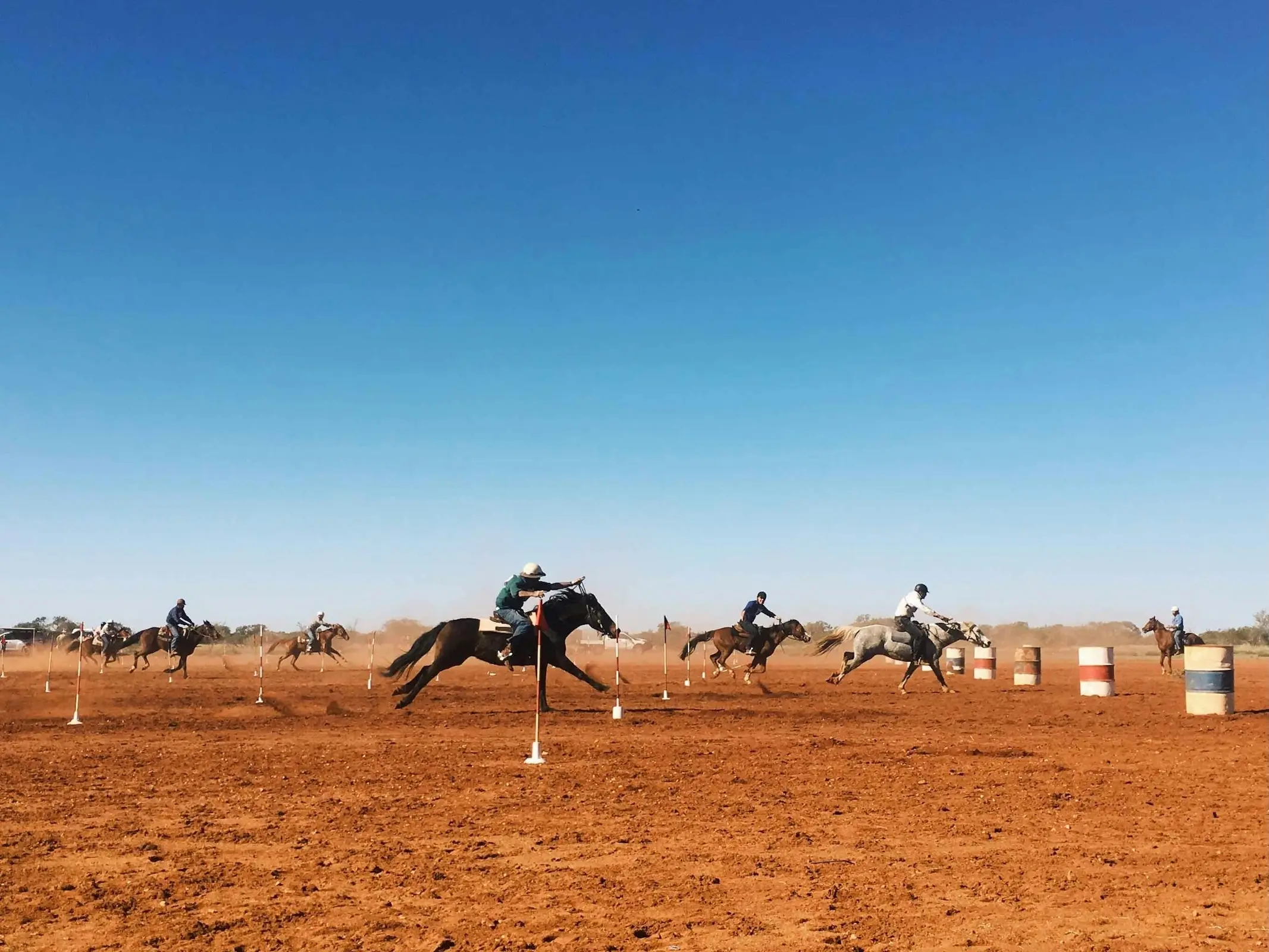 Horse in Australia