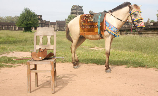 Horse in Cambodia