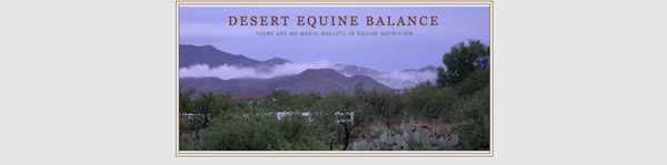 Desert Equine Balance