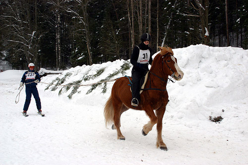 Horse pulling skier in Finland