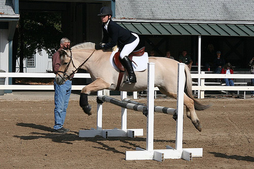 Horse Jumping