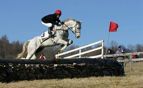 Horse Jumping