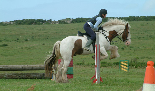 Horse Jumping