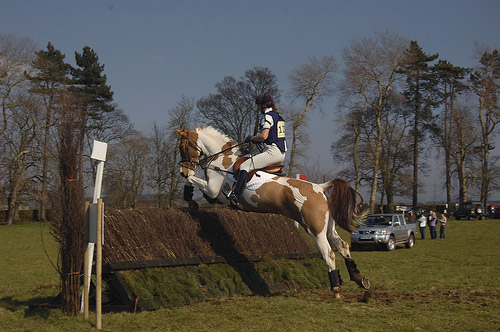 Horse Jumping