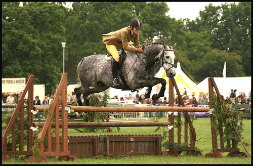 Horse Jumping