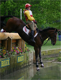 Horse Jumping