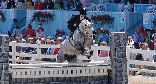 Jumping Sidesaddle