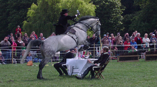 Jumping Sidesaddle