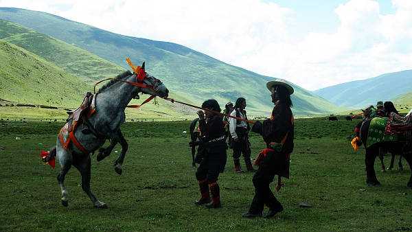 Litang Horse Festival