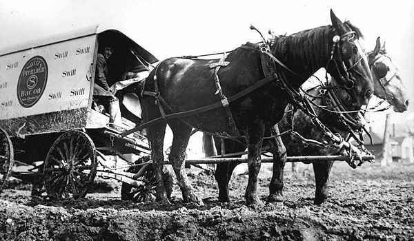 Horse & Delivery Wagon Stuck