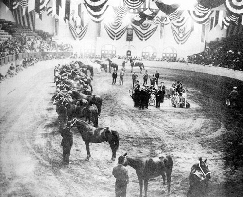 Fort Worth Horse Show