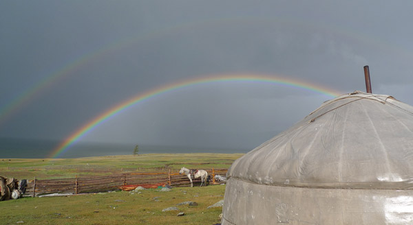 Rainbows & Horses