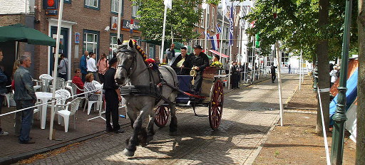 Zeeland Horse