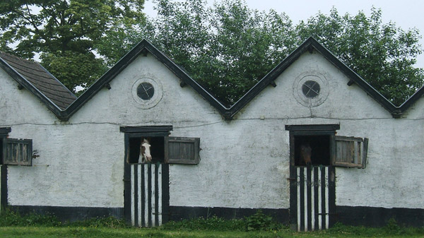 stables-14.jpg
