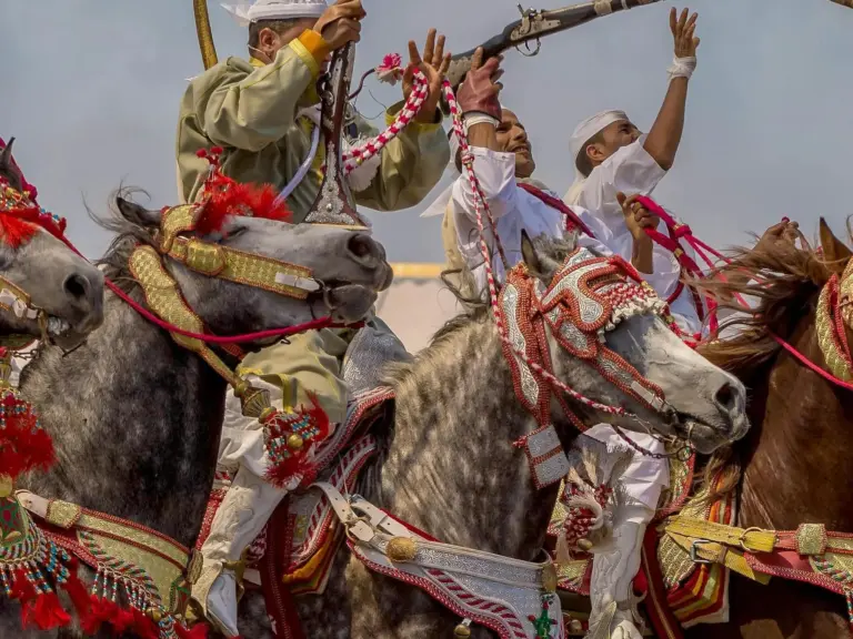 Arabian-Berber Horse