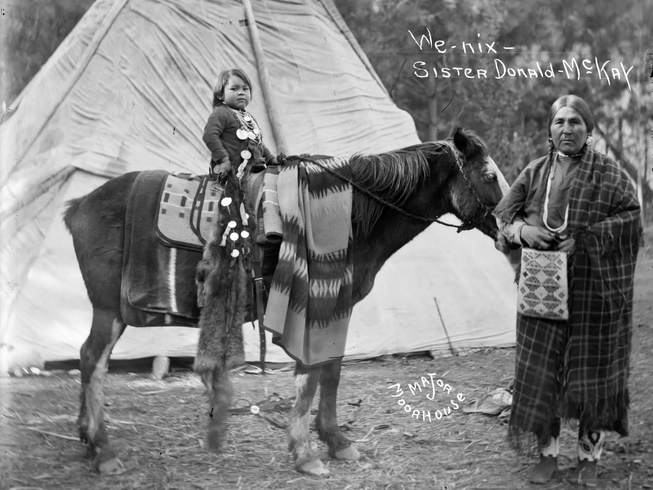 Cayuse Horse Breeding: Development of the Famous Tribal Horse of the Northwest Cayuse Horse Breeding: Development of the Famous Tribal Horse of the Northwest