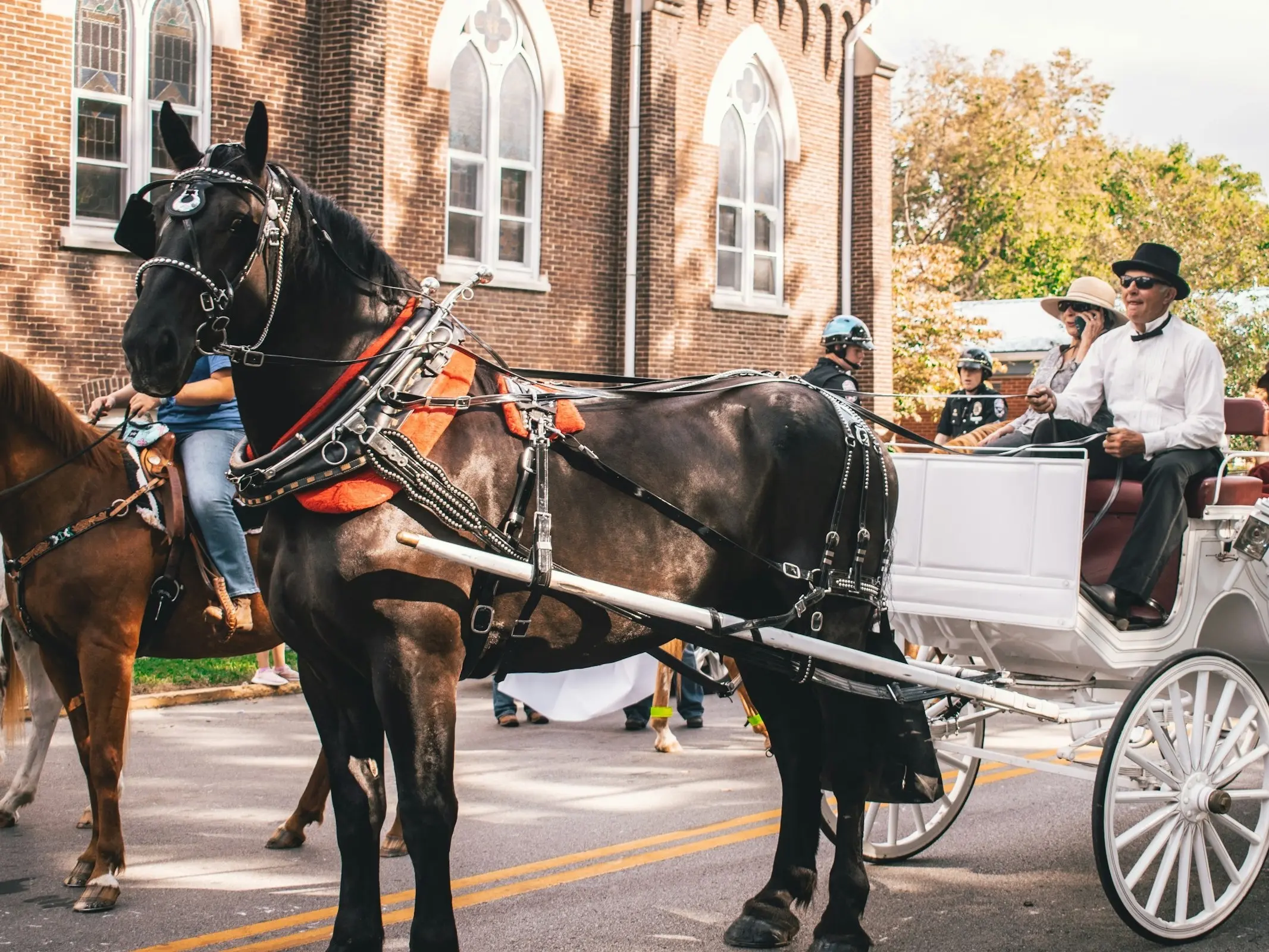 Georgian Grande Horse - Horse Breeds