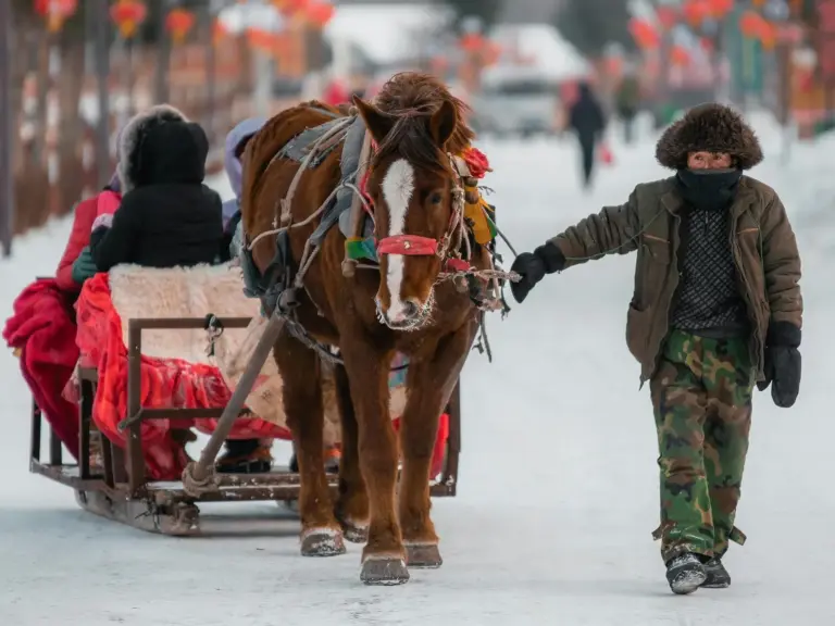 Heilongkiang Horse