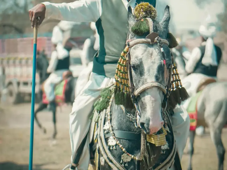 Ghazi Horse