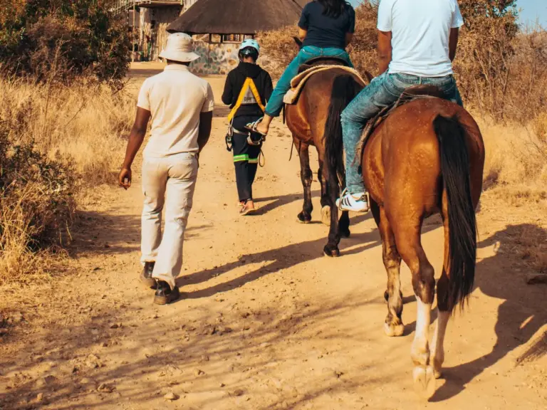 Kalahari Pony