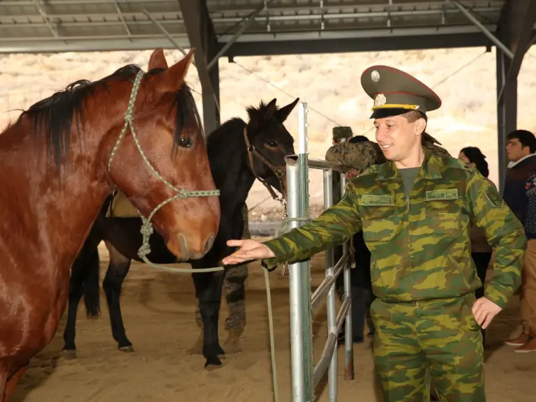 Karabair Horse