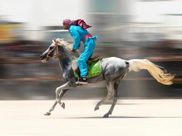 Kurdish Horse