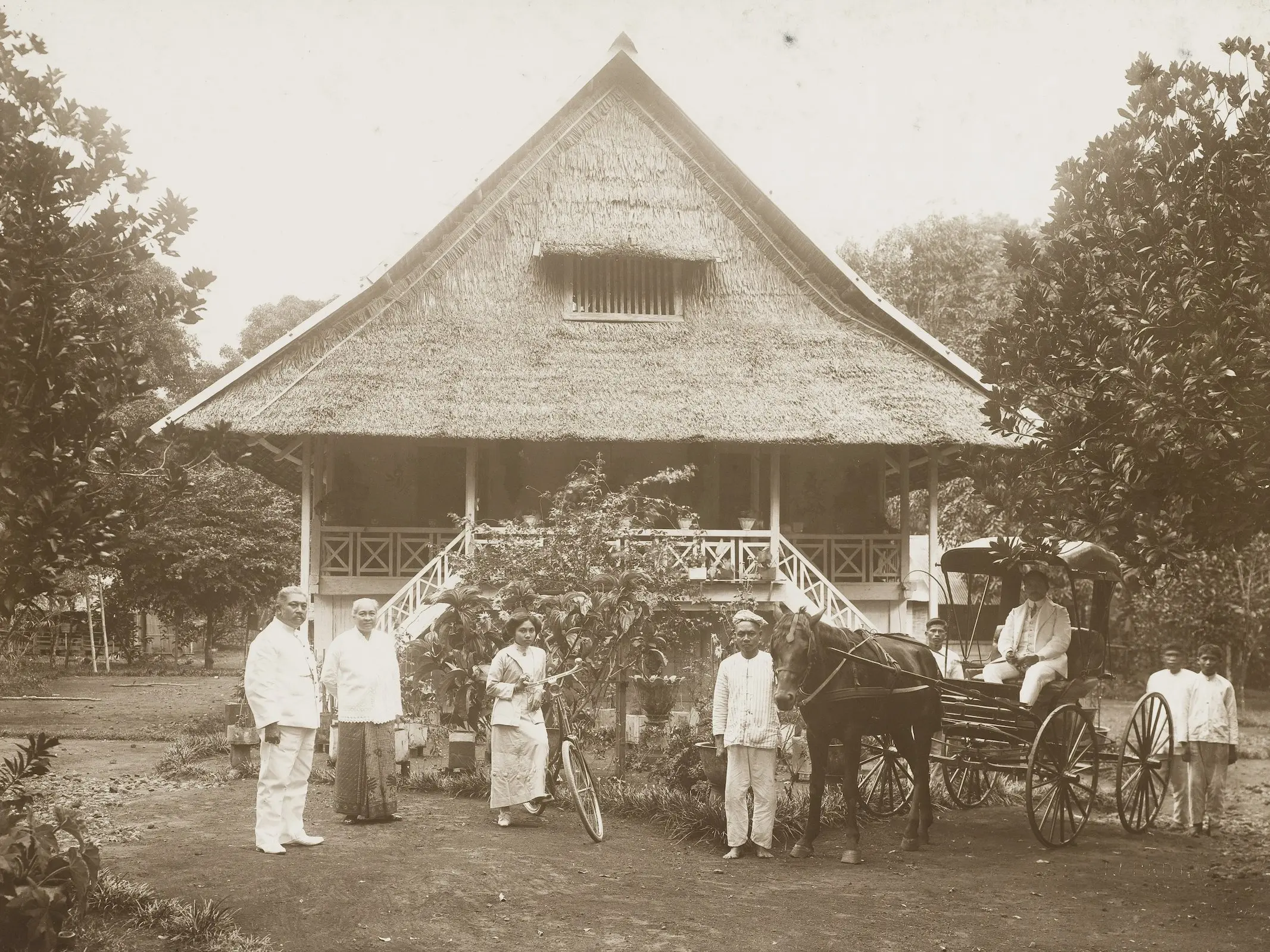 Minahasa horse breeds