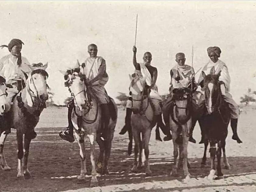 Somali Pony Horse Breeds somali-pony-horse-breeds