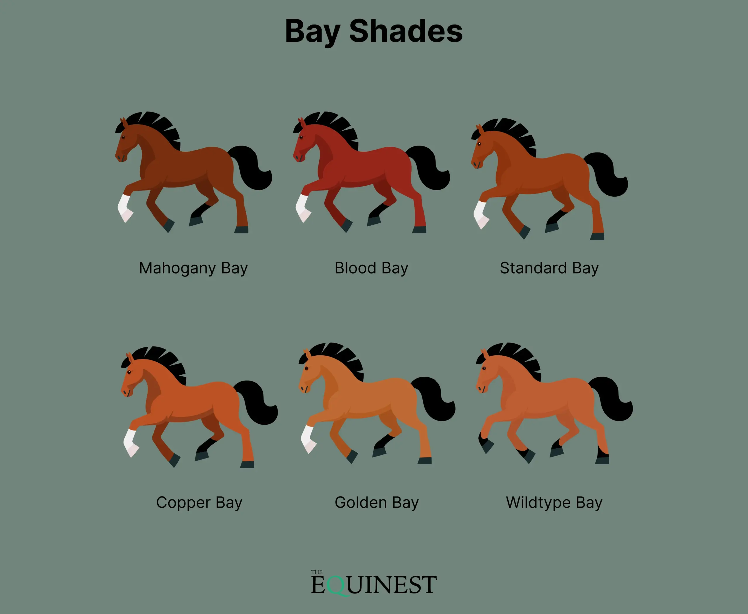 Bay color cheat sheet