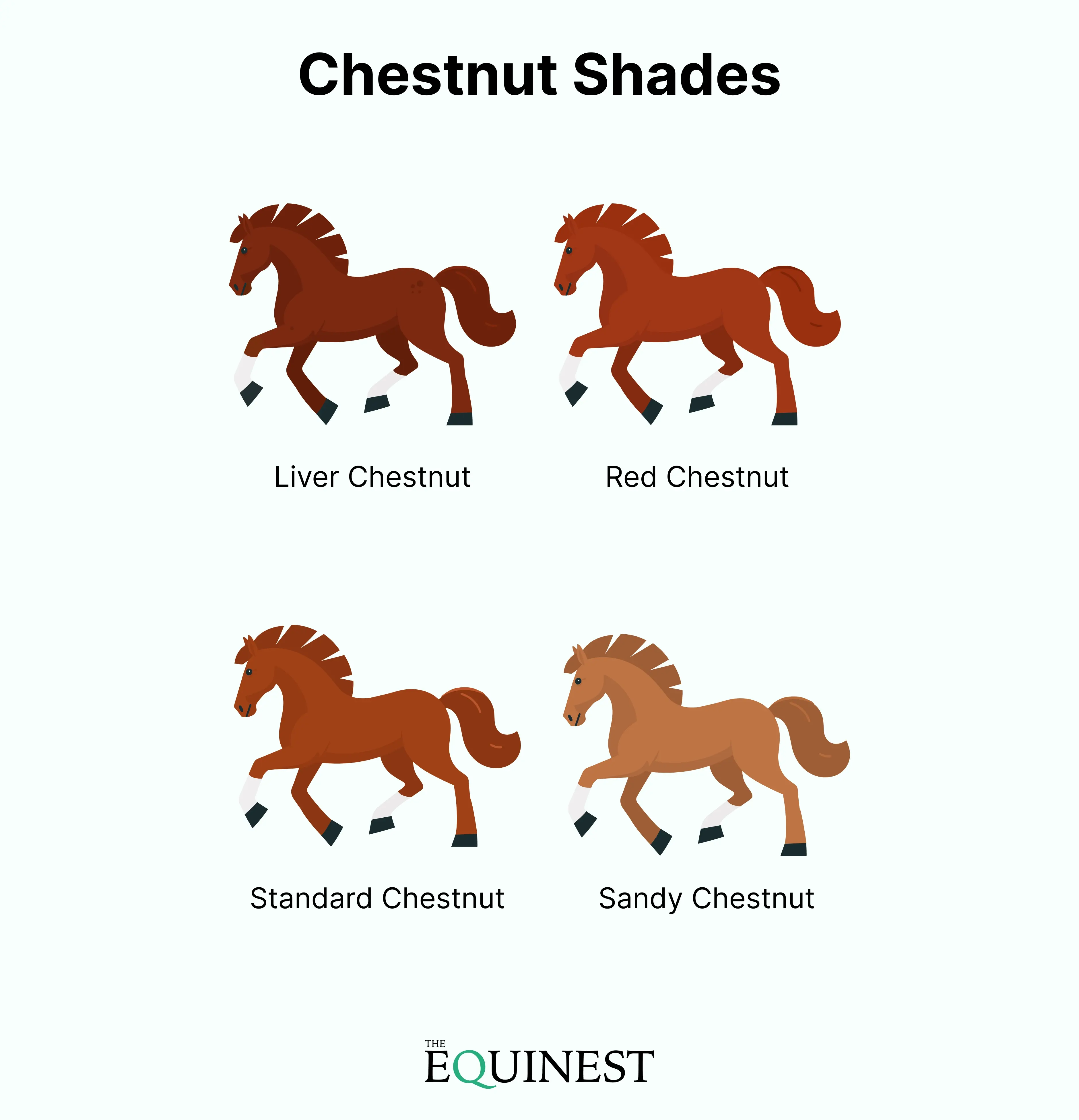 Chestnut color cheat sheet