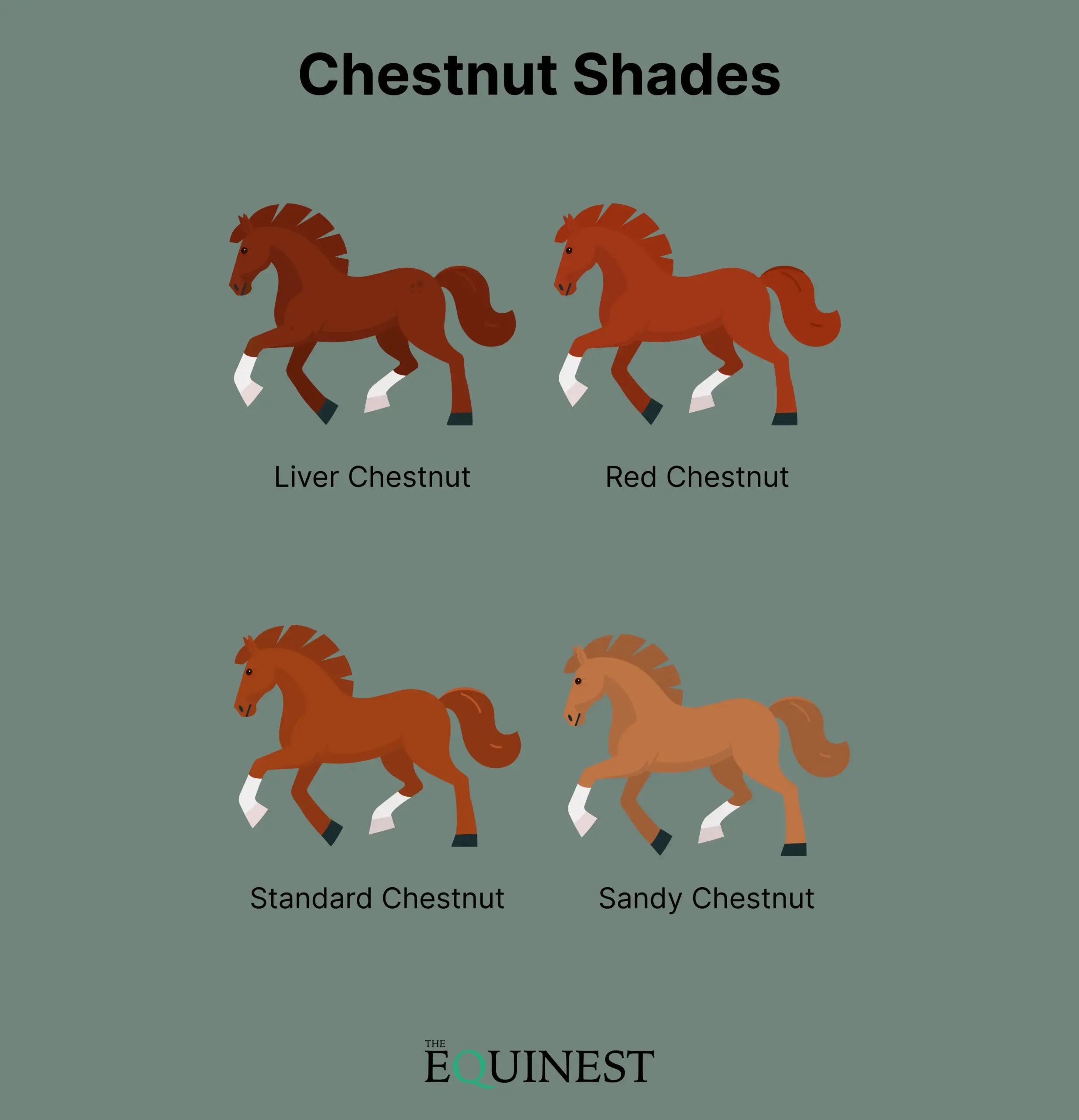 Chestnut color cheat sheet