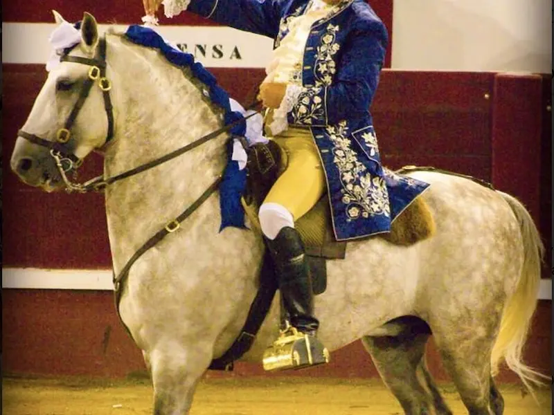 Lusitano