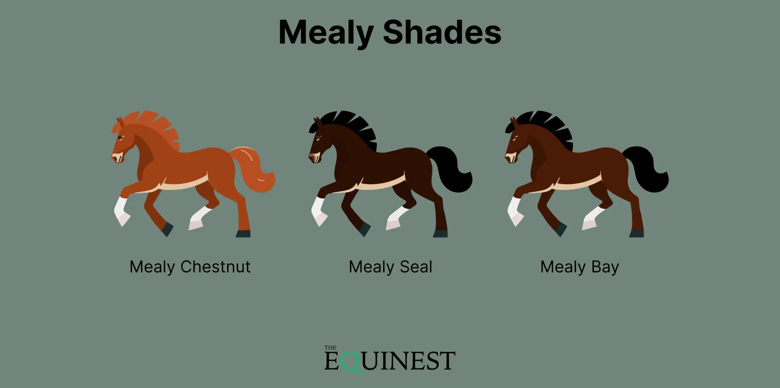 Mealy color cheat sheet