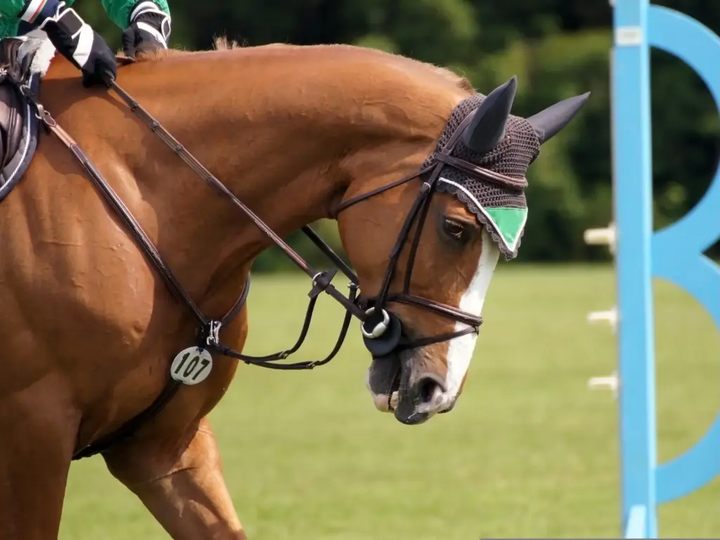 Equestrian competing in Aachen