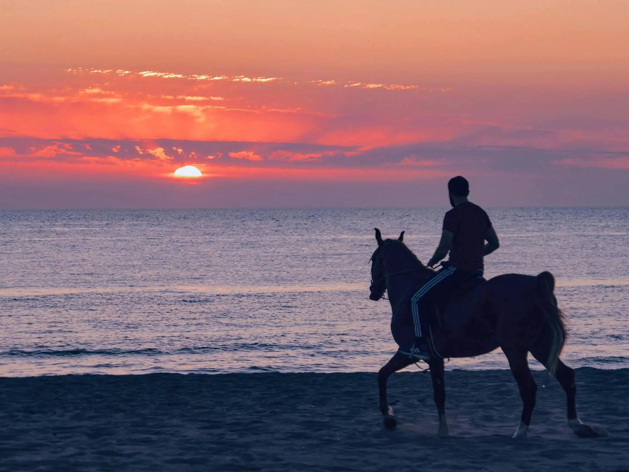 Men riding a horse on the beach at sunset