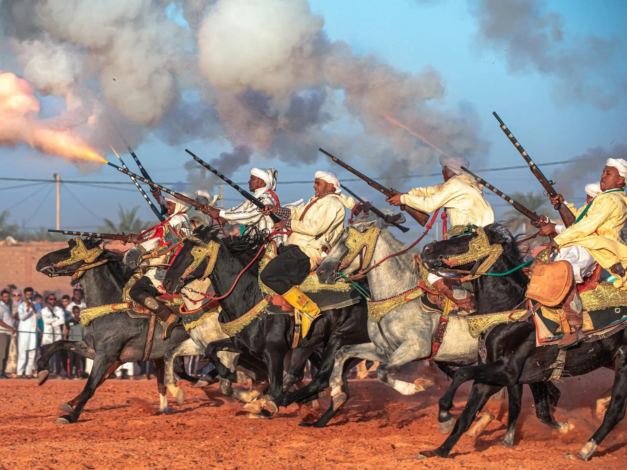 Horse and rider in Algeria