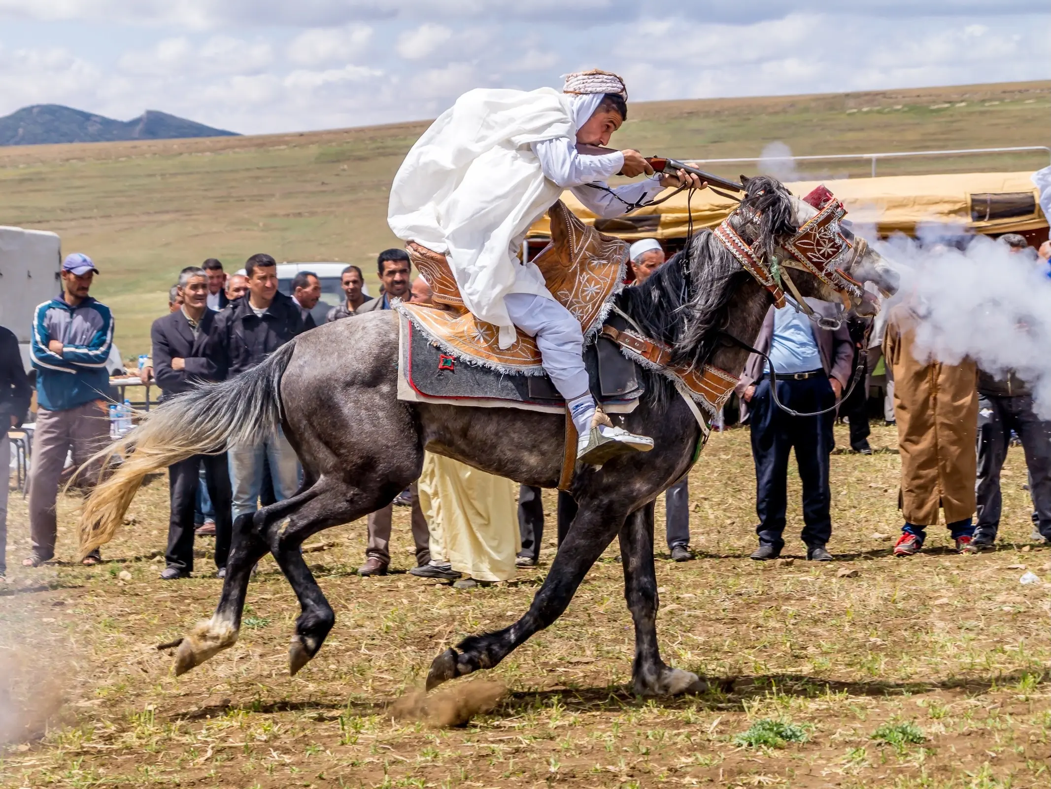 Horse and rider in Algeria