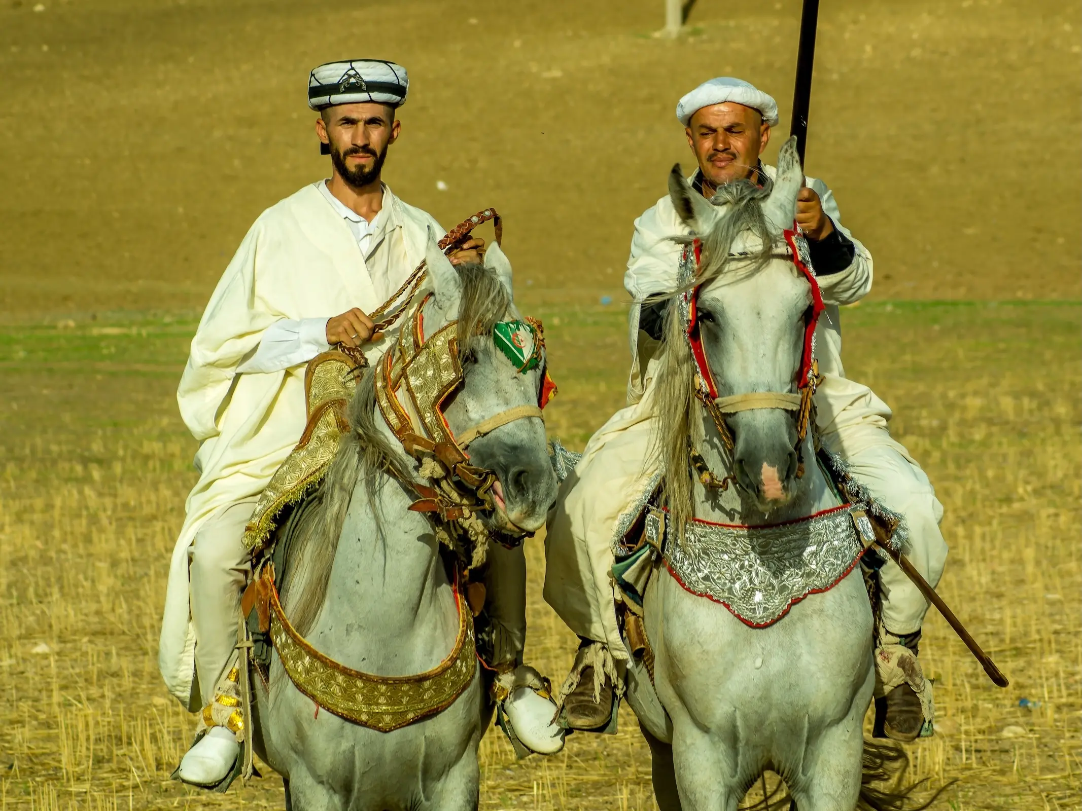 Horse and rider in Algeria