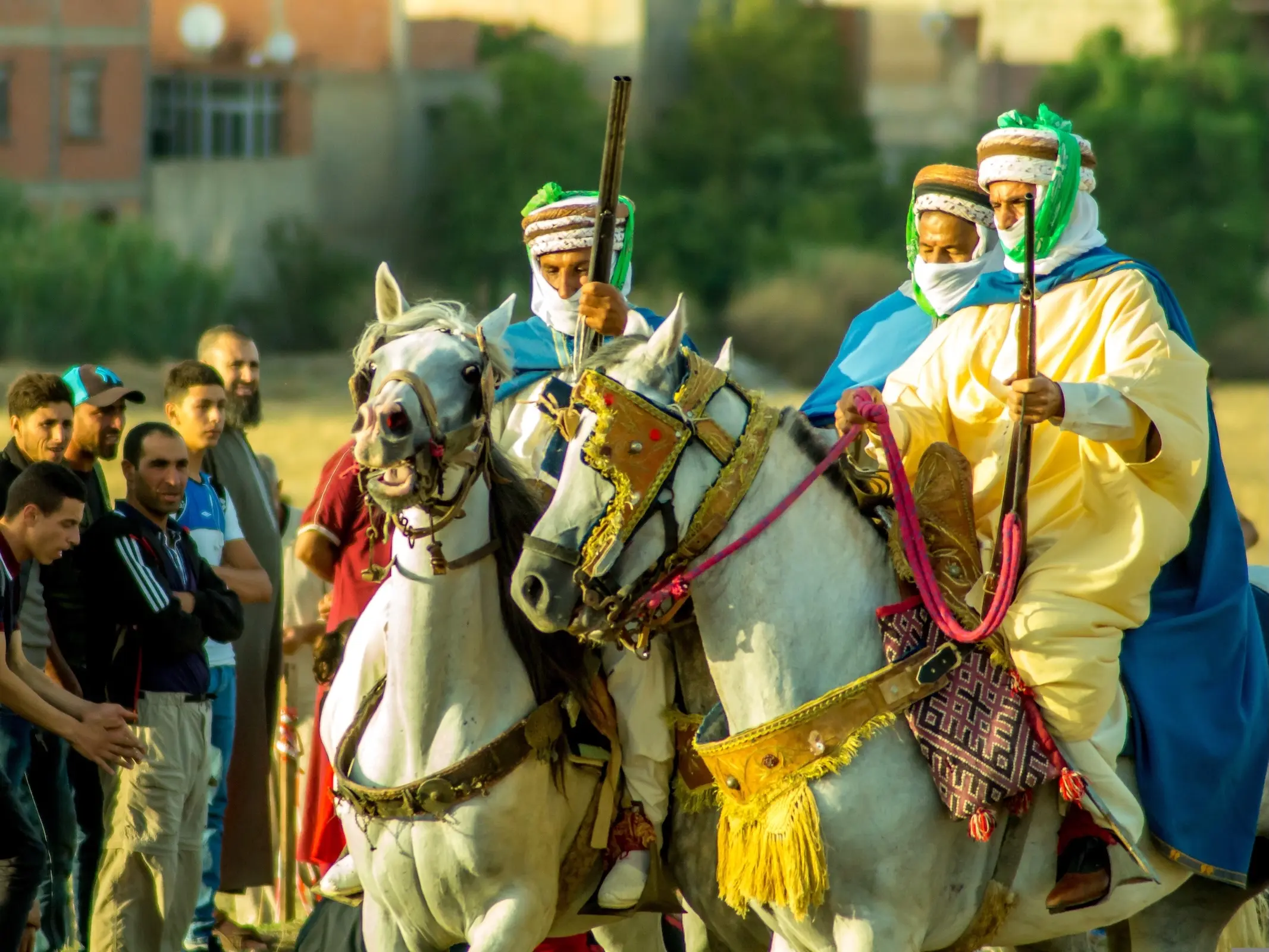 Horse and rider in Algeria