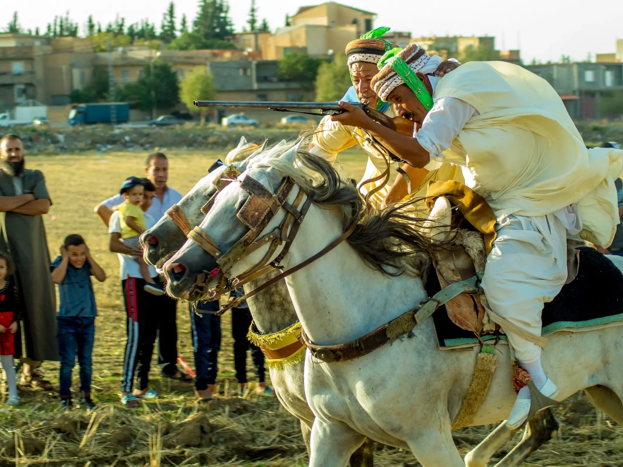 Horse and rider in Algeria