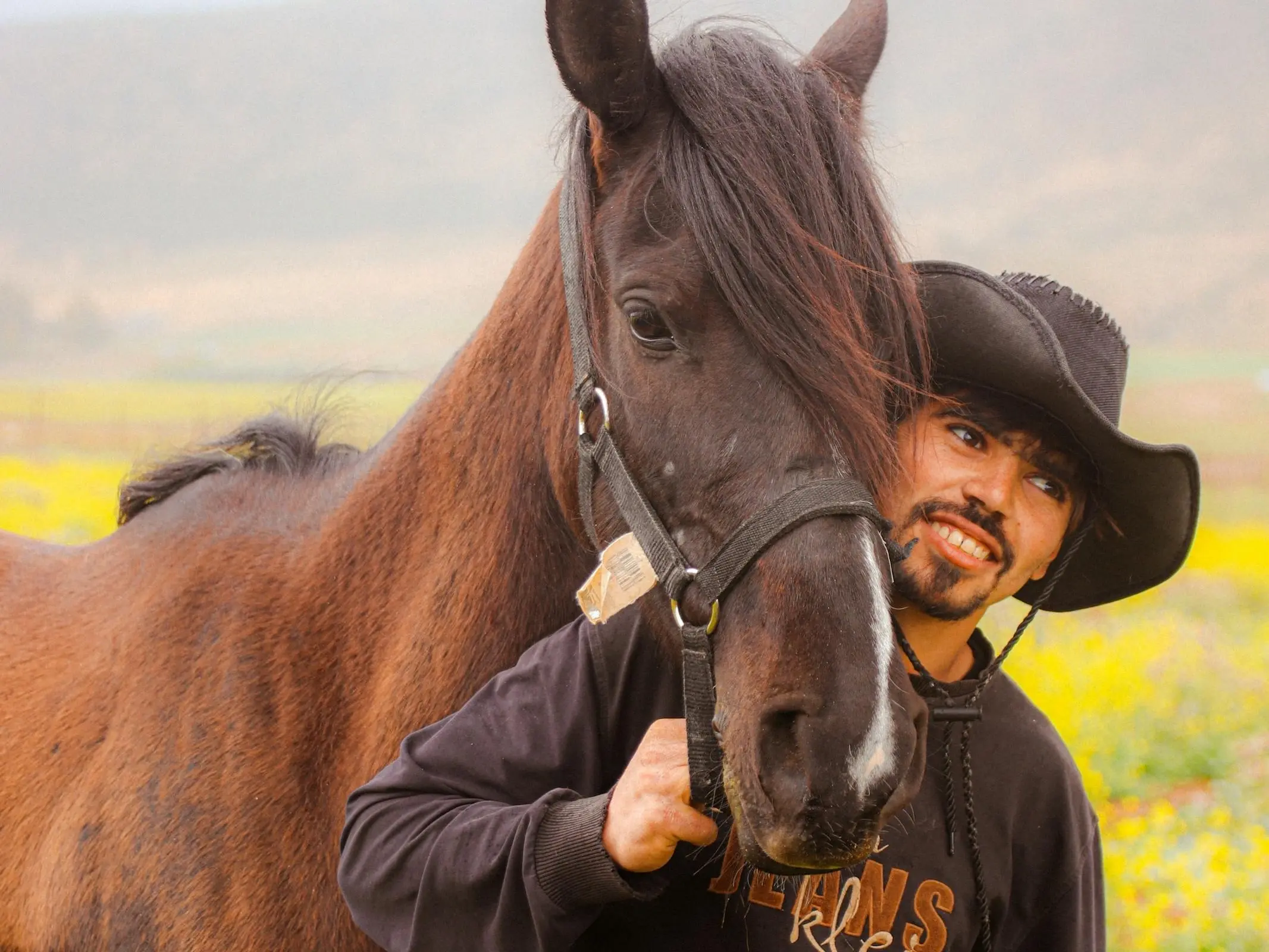 Horse and rider in Algeria