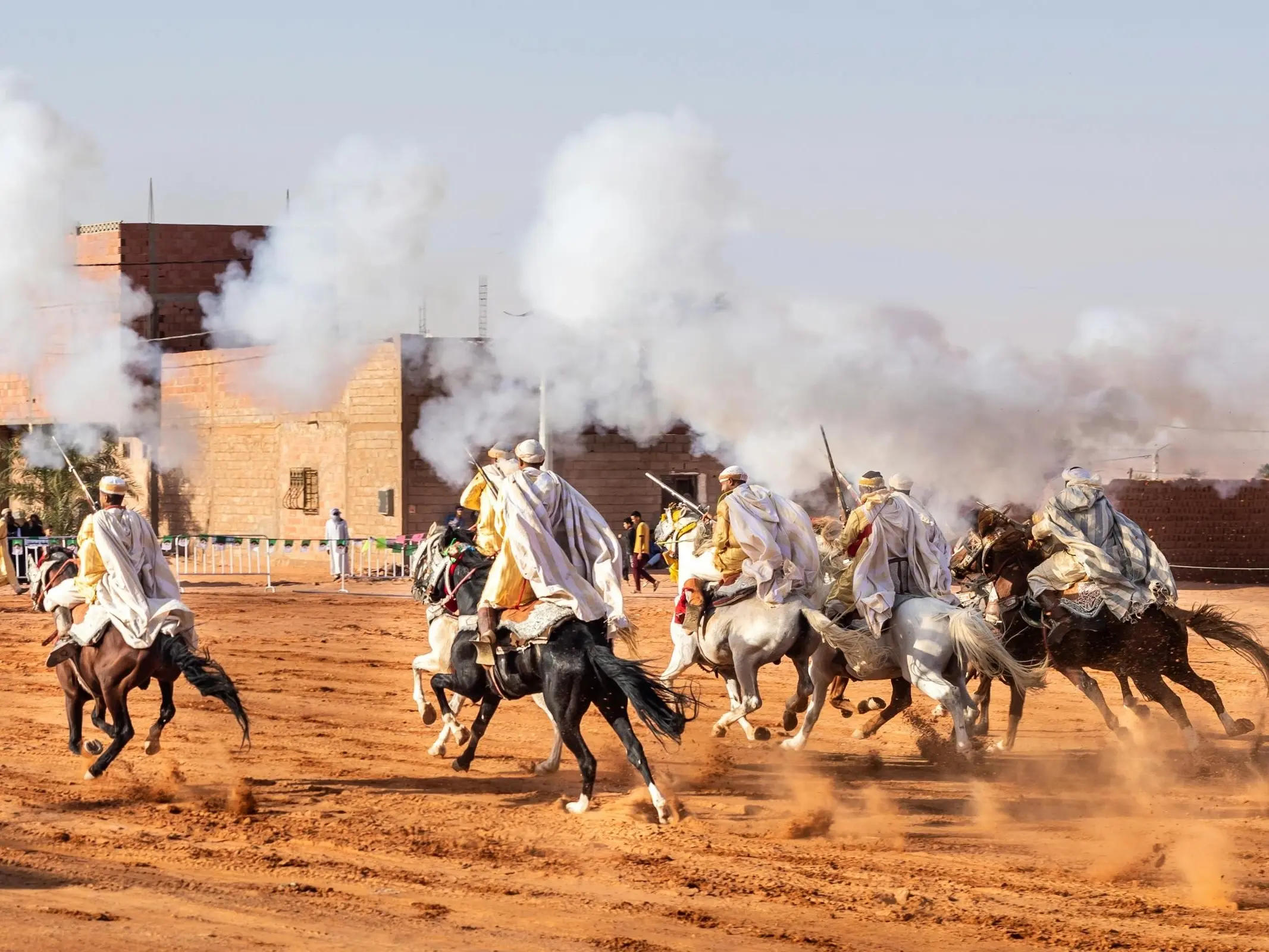 Horse and rider in Algeria